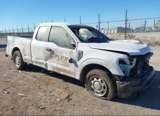 21 F-150 (E71903)